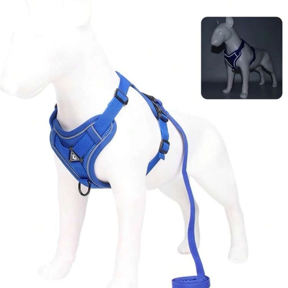 Dog harness and leash - Picture 5 of 6